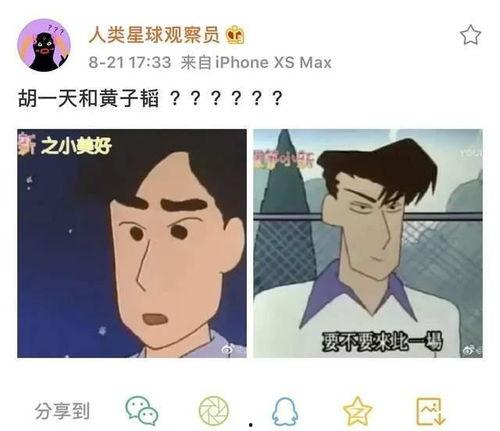 娱乐吃瓜酱说话的艺术,揭秘明星说话艺术背后的智慧与魅力