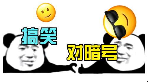 娱乐吃瓜酱笑话段子视频,娱乐吃瓜酱的幽默段子集锦
