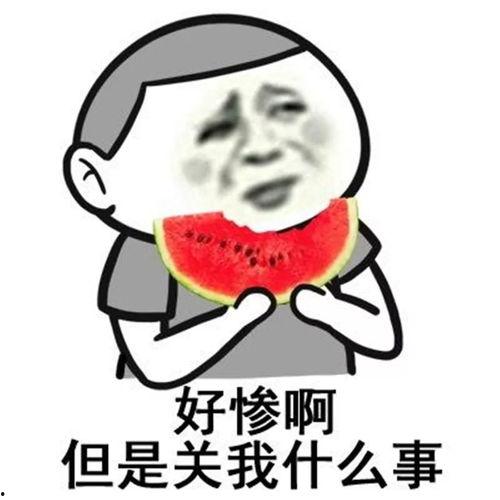娱乐吃瓜音乐有哪些歌好听,盘点那些让人欲罢不能的好听歌曲