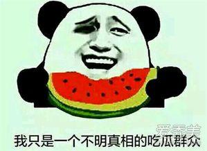 娱乐都是吃瓜群众,全民吃瓜，揭秘明星幕后故事
