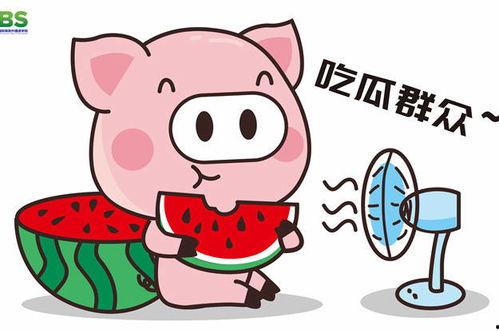 娱乐吃瓜八卦背景图图片,吃瓜群众背后的故事